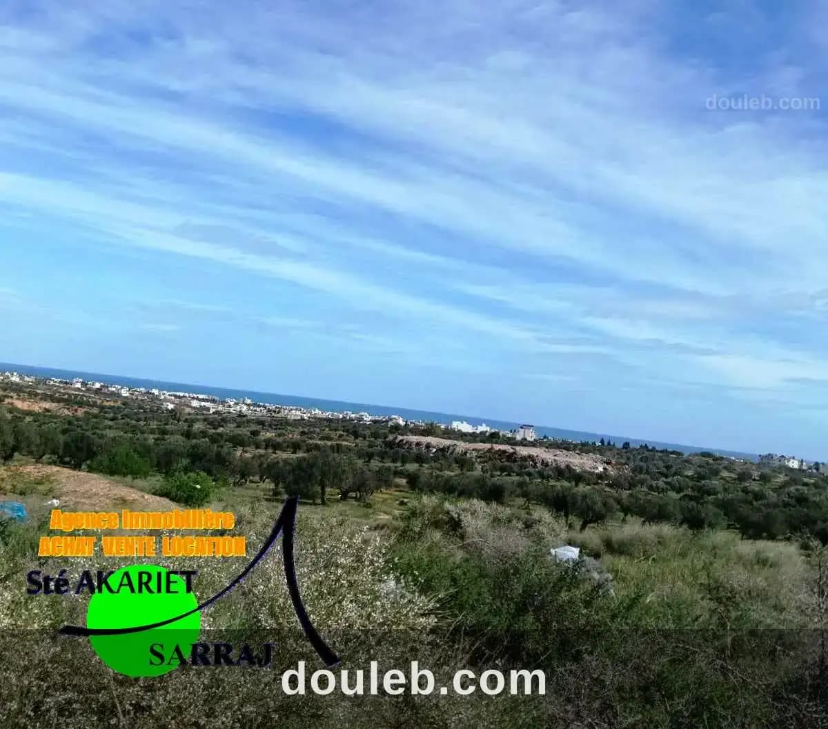 Lot d'invesstisement 1hectare en face mall sousse - Miniature 5