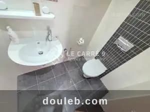 S3 meublé avec dégagée au lac 2 - Miniature 5