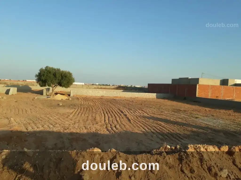 Terrain 928 m2 à rt gremda km11 rocade sfax - Photo 1