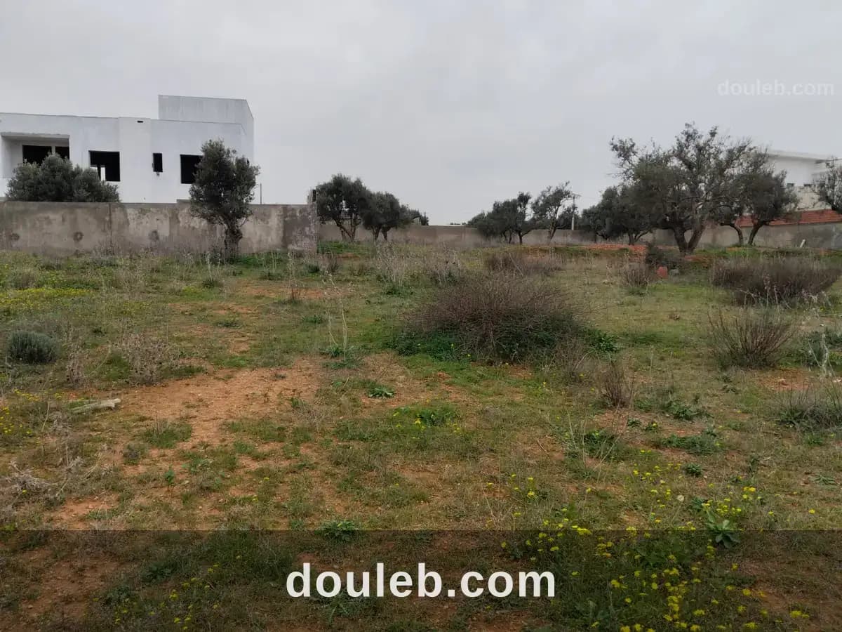 Borj youssef vnt ter 1000m2 - Miniature 2