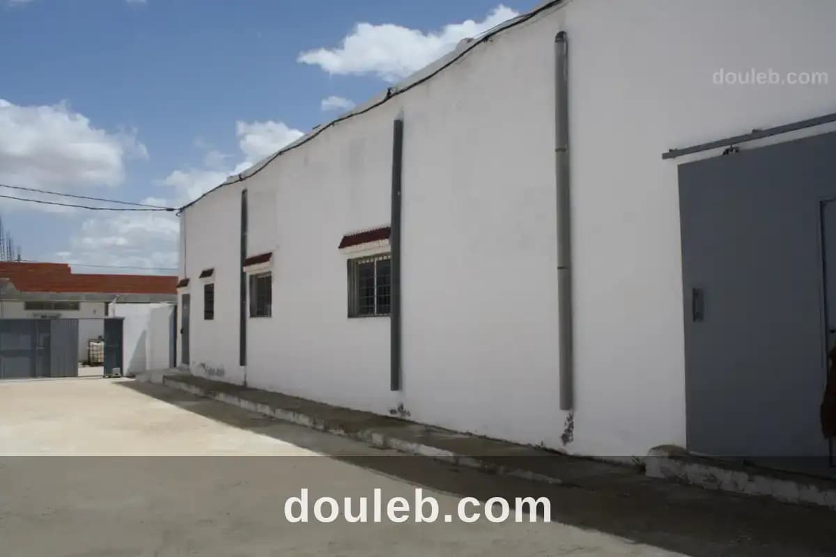 Gps zaghouane z ind 2 ennouzha - Miniature 3