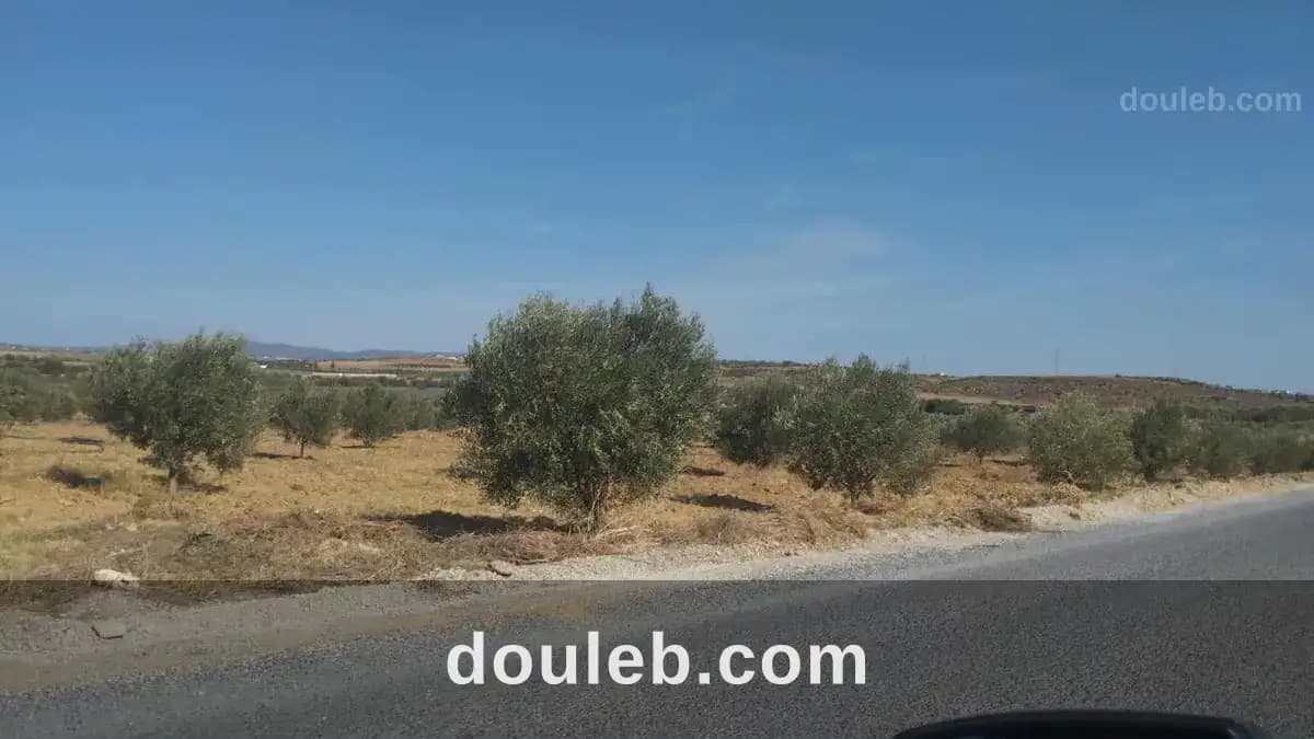 Av de 1000m à 3000m à monchar - Miniature 2