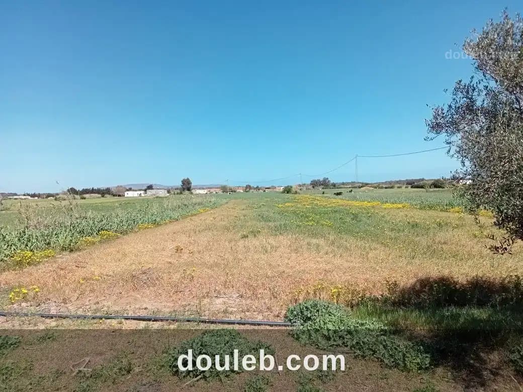 2200m2 situé a dar allouch deulement 70mdt - Photo 1