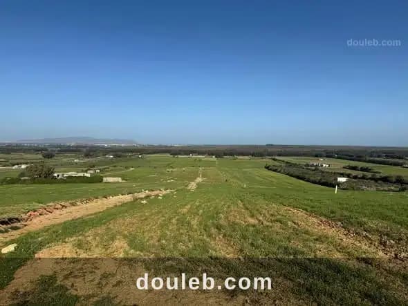 Lotissement azmour - Miniature 3