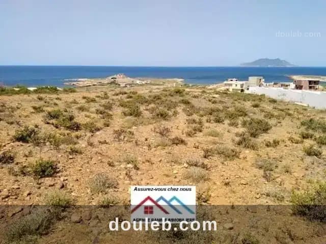 Terrain de 2000m2 a la mer el haouaria - Miniature 3