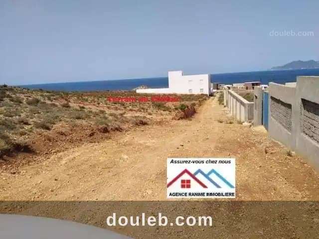 Terrain de 2000m2 a la mer el haouaria - Miniature 4