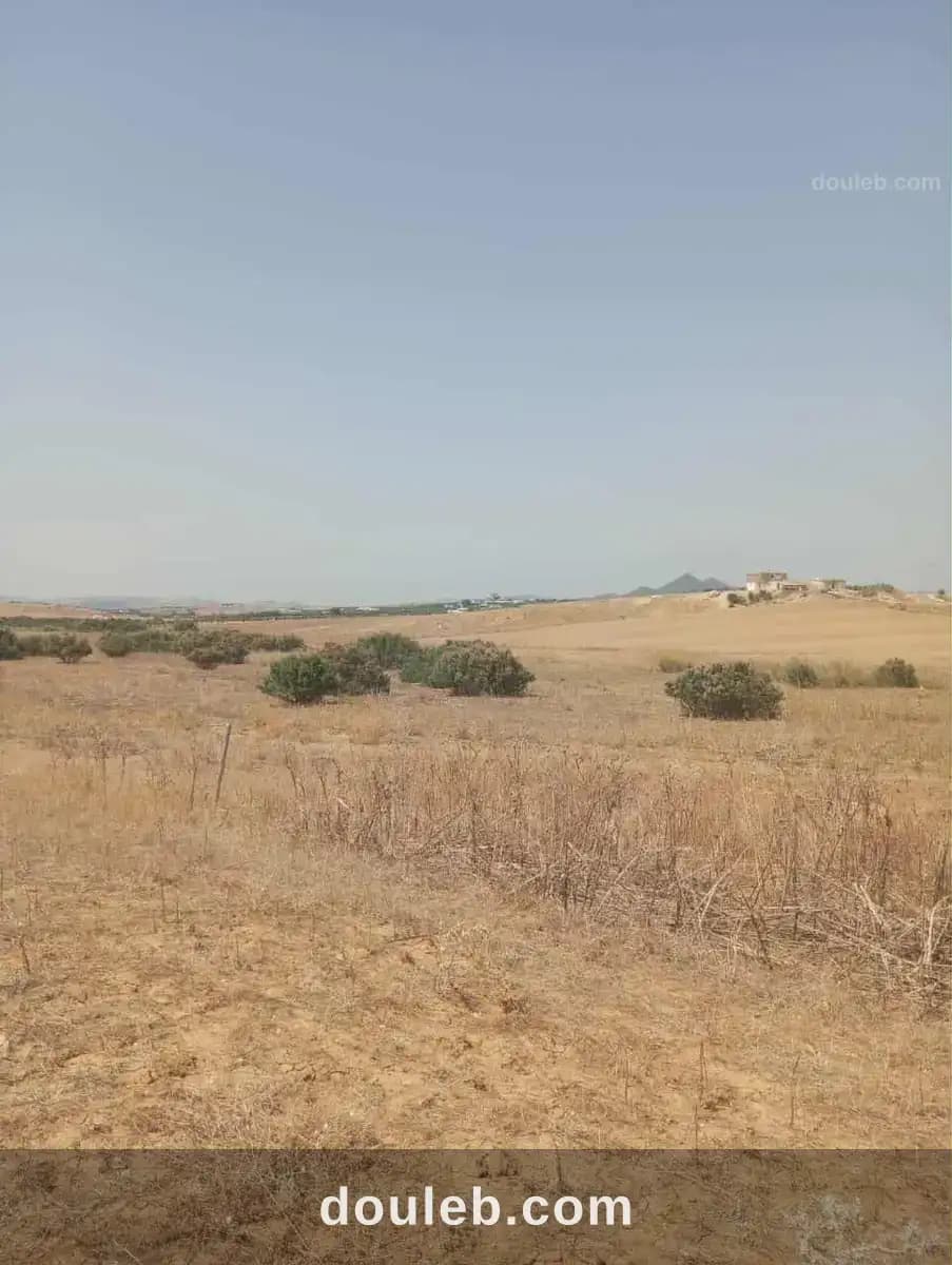 Av 7 hectares zaghouan direction hammamet - Miniature 2