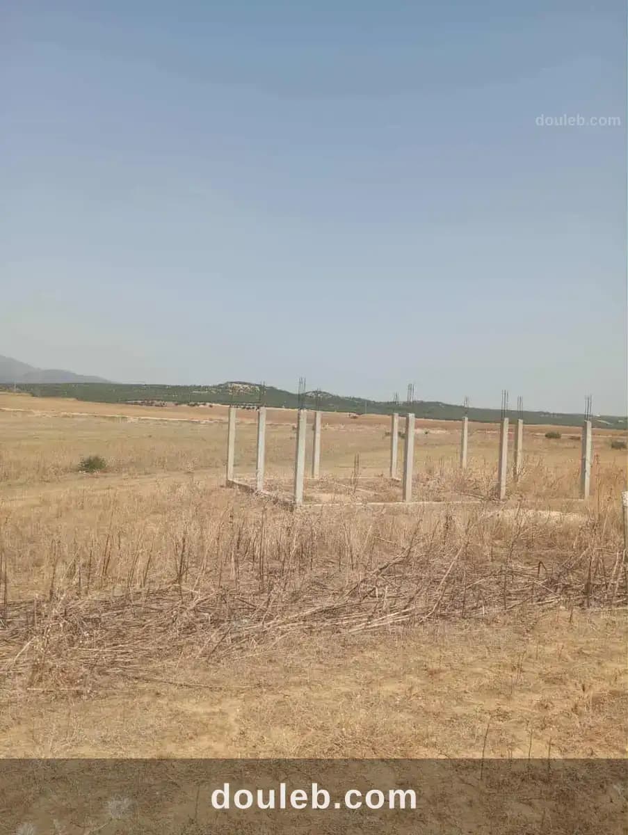 Av 7 hectares zaghouan direction hammamet - Miniature 3