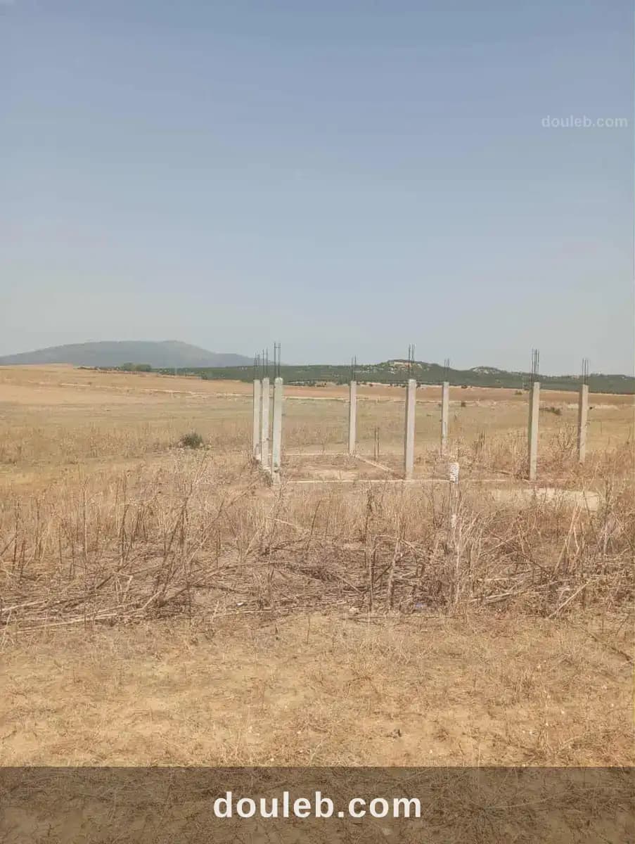 Av 7 hectares zaghouan direction hammamet - Miniature 4