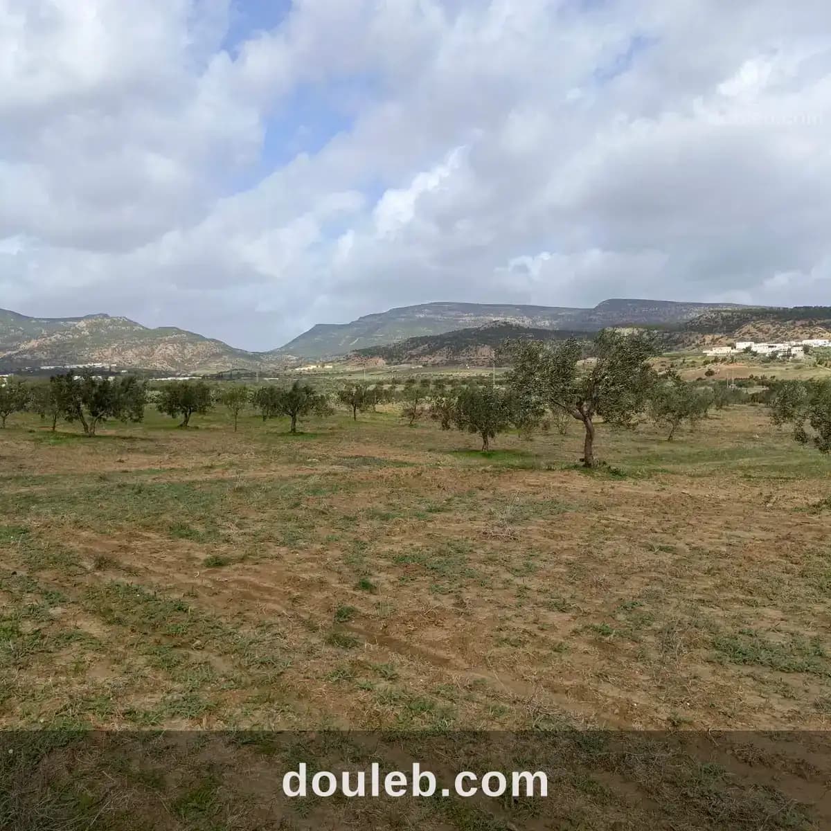 Av terrain de 4500m à hammamet - Miniature 3
