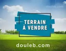 Terrain pour promoteur 5000 m2 à el ghazela - Photo 1