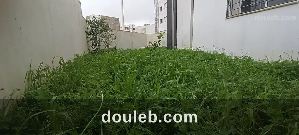 Appartement s2 avec jardin au rez de chaussée - Photo 1