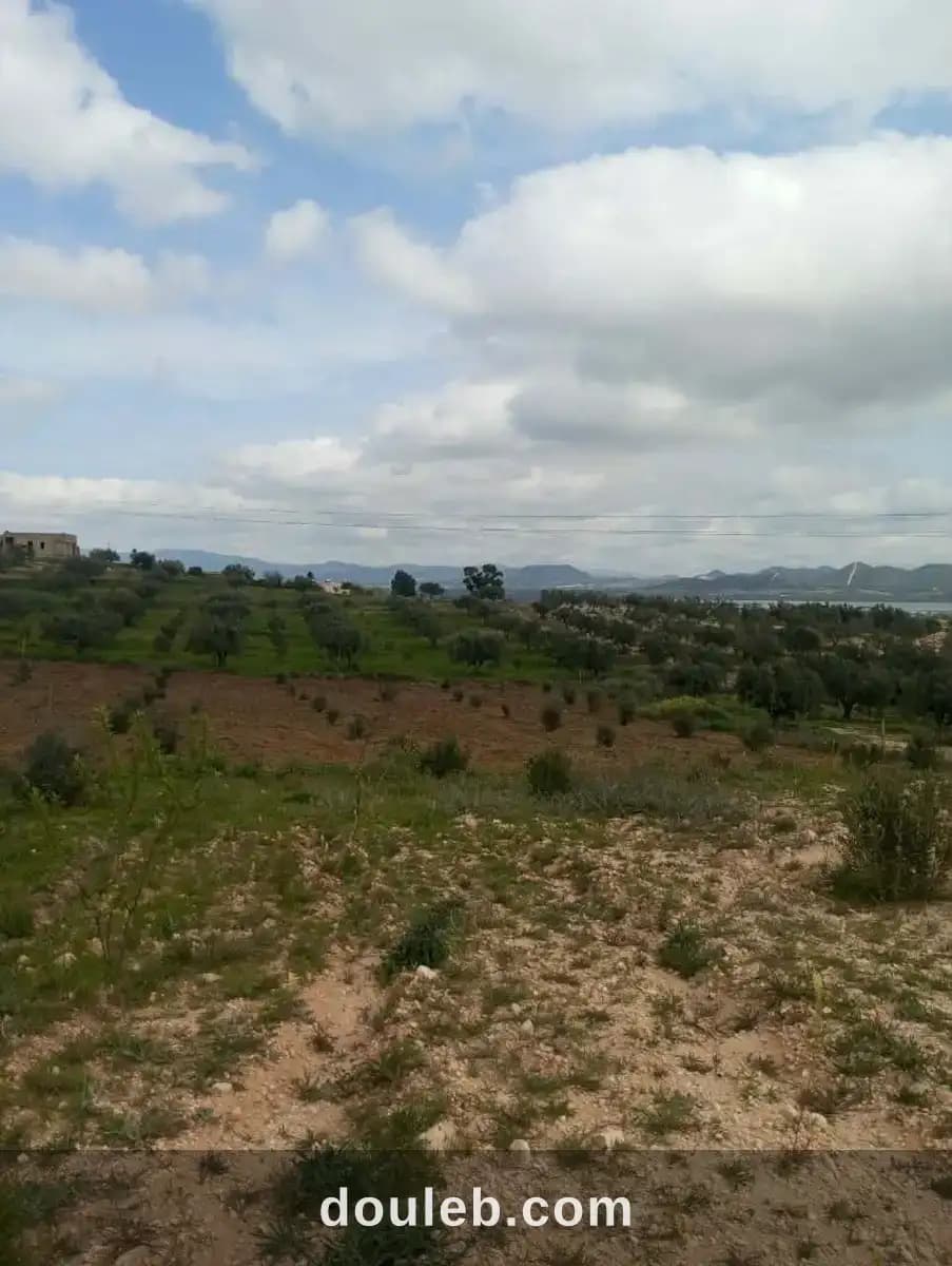 Av terrain 4100m à zaghouan 99958728 - Miniature 2
