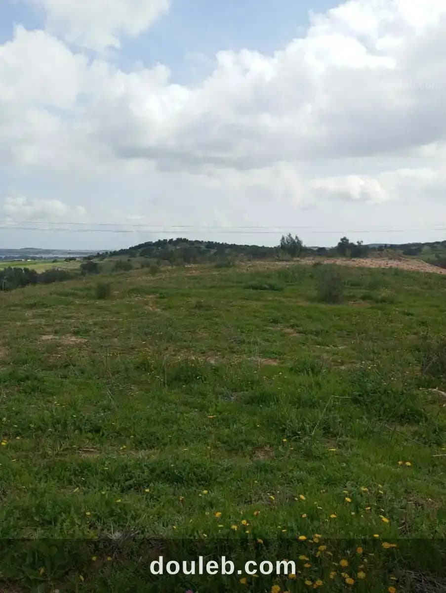 Av terrain 4100m à zaghouan 99958728 - Miniature 3