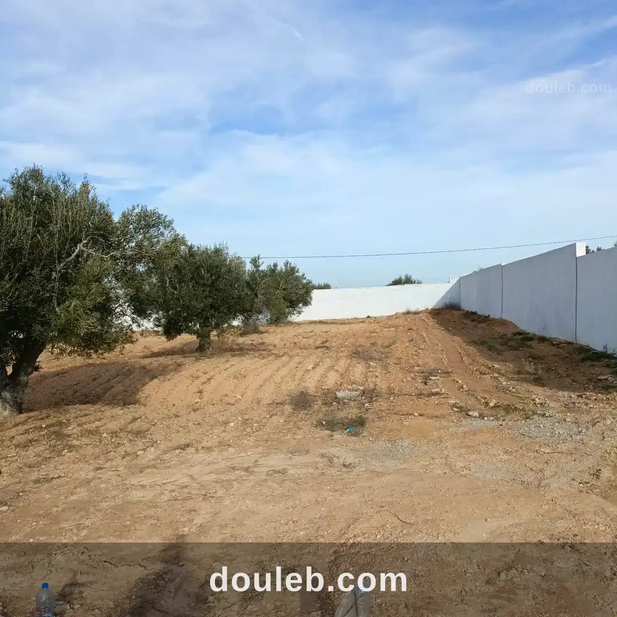 Av beau terrain de 600m proche hammamet yasmine - Miniature 2