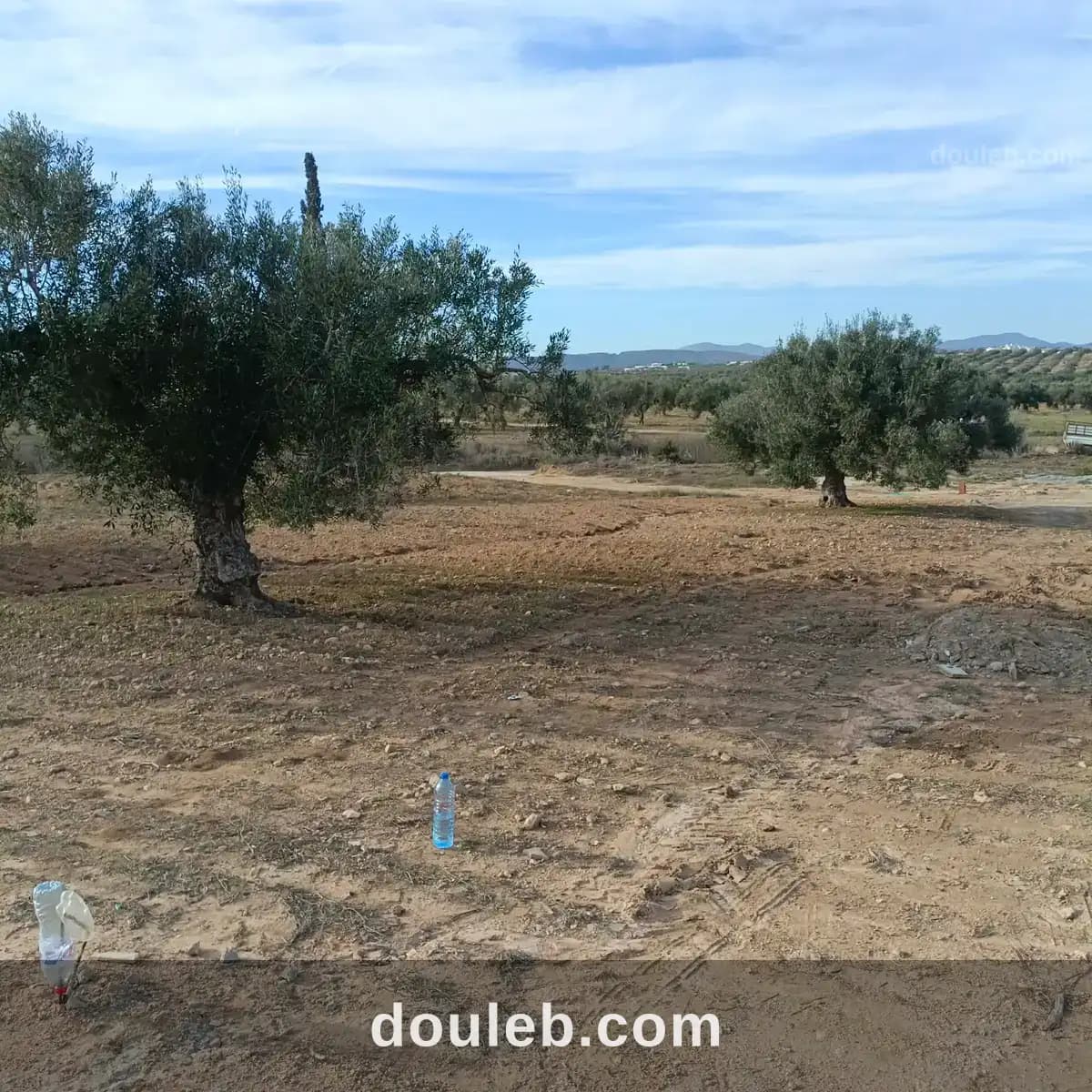 Av beau terrain de 600m proche hammamet yasmine - Miniature 3