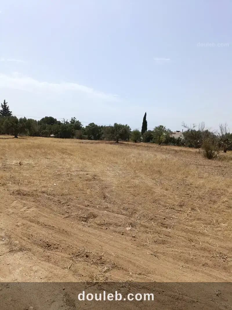 Av terrain 2100m à sidi mtire - Photo 1
