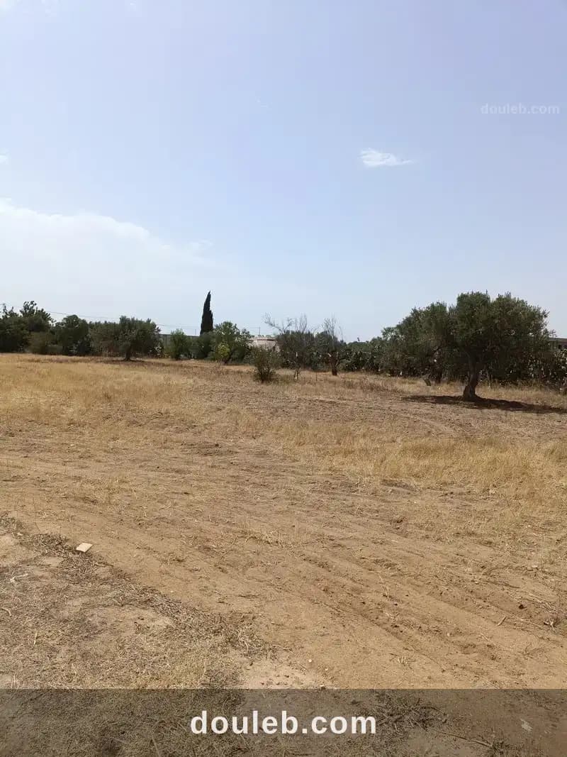 Av terrain 2100m à sidi mtire - Miniature 2