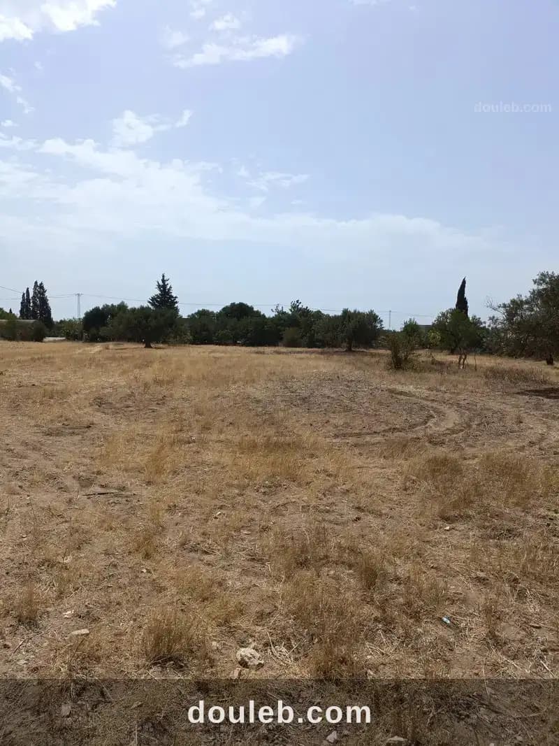 Av terrain 2100m à sidi mtire - Miniature 3