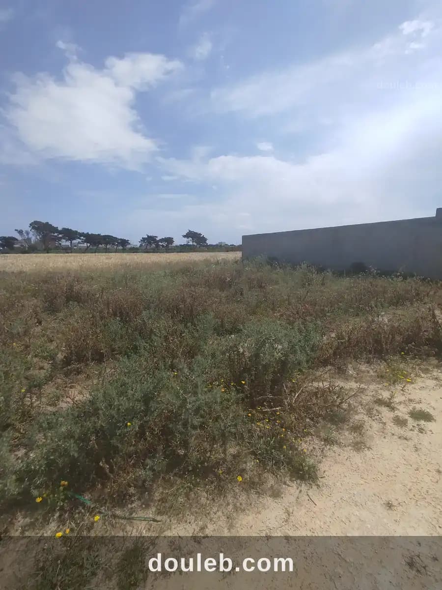 Terrain dar allouche - Photo 1