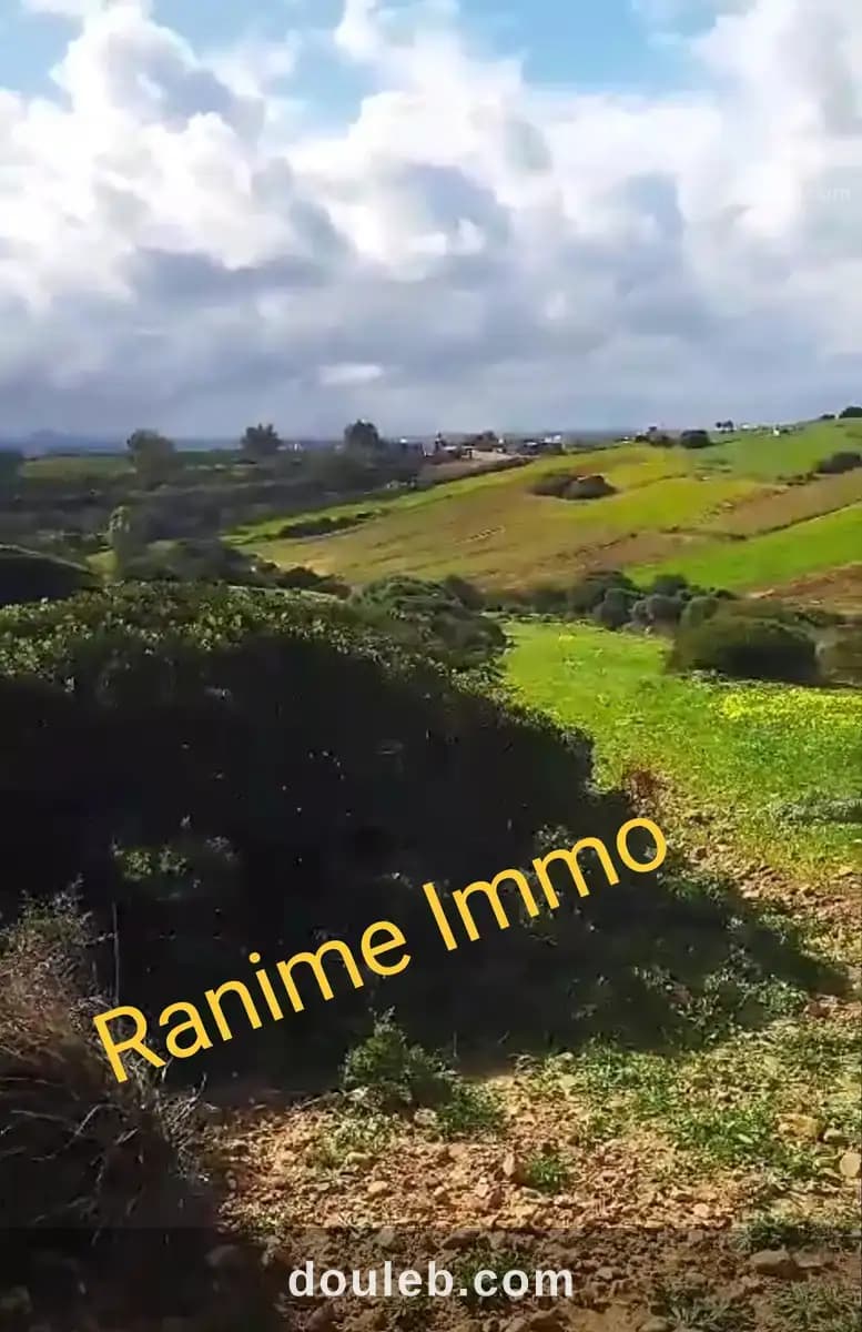 Terrain de 3740m2 a la plage el haouaria - Photo 1