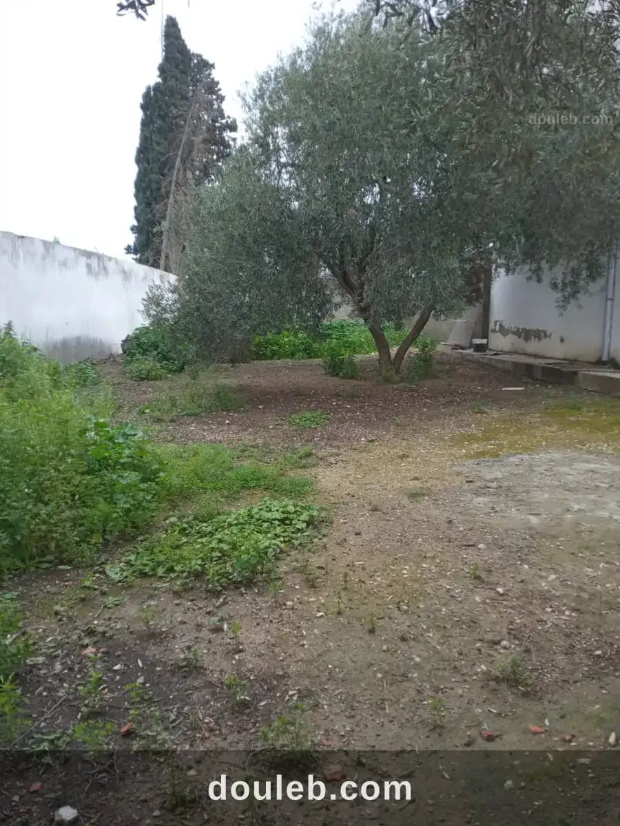 La soukra vnt ter viabilisé - Photo 1