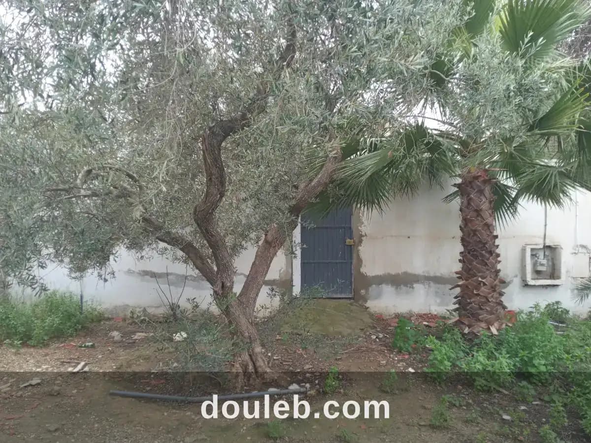 La soukra vnt ter viabilisé - Miniature 2