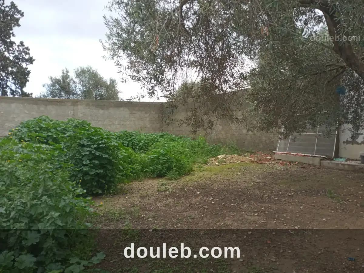 La soukra vnt ter viabilisé - Miniature 3