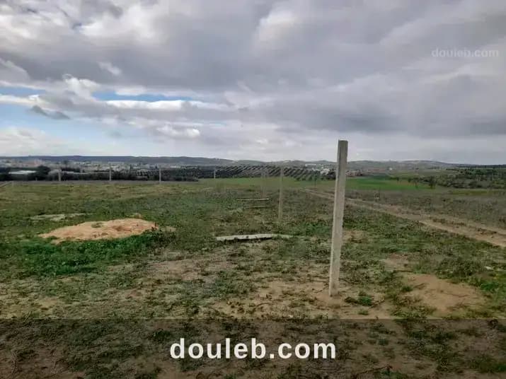 Terrain magnifique - Photo 1