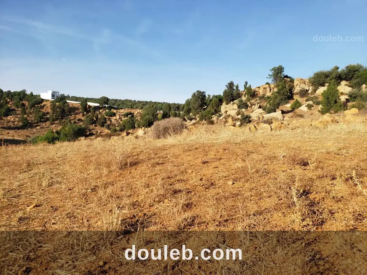 Av terrain 1300m avec vue dégagé proche hammamet - Photo 1