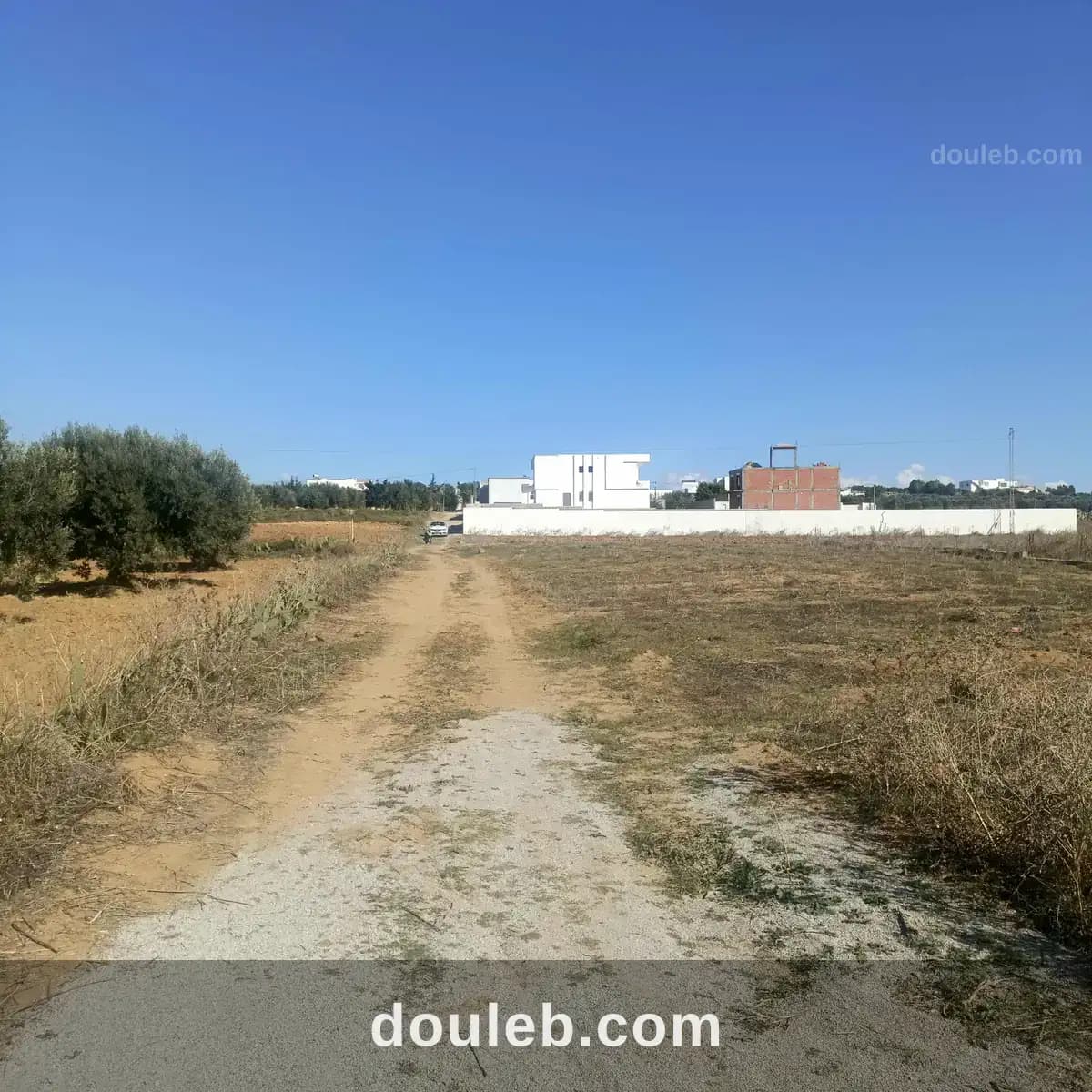 Av 400m monchar hammamet sud - Photo 1
