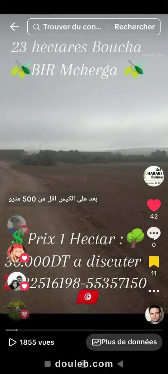 23 hectares excellentes sol fertile - Miniature 5