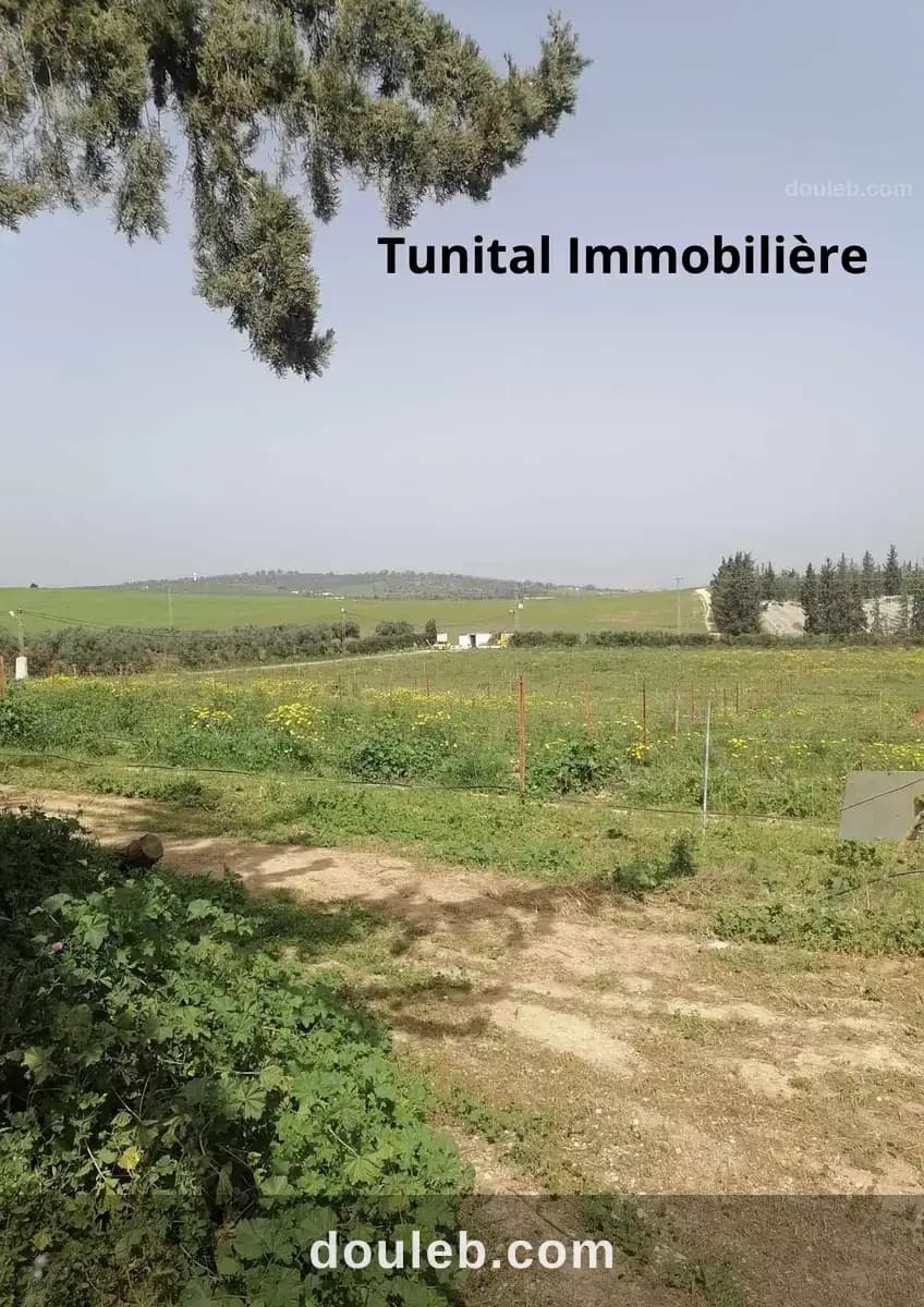 Ferme à manouba - Miniature 2