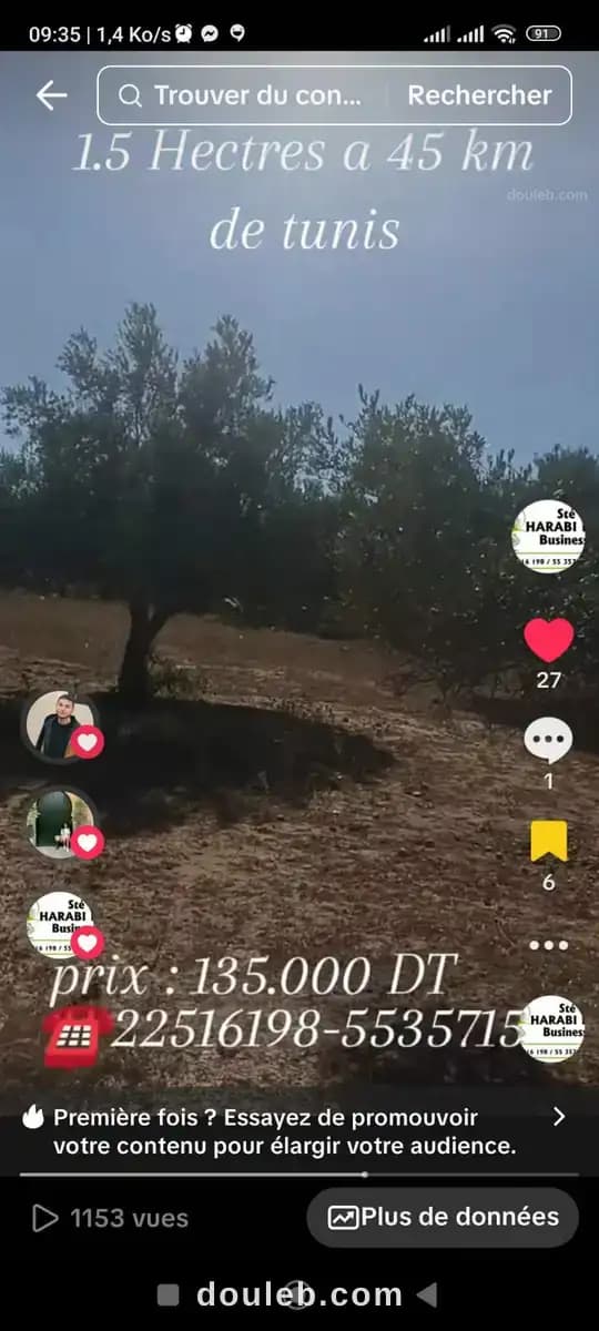 Un hectare et demi avec d'oliviers - Miniature 3