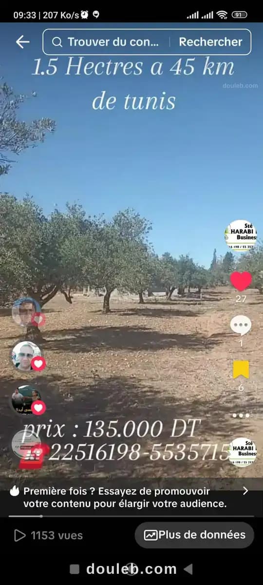 Un hectare et demi avec d'oliviers - Miniature 4