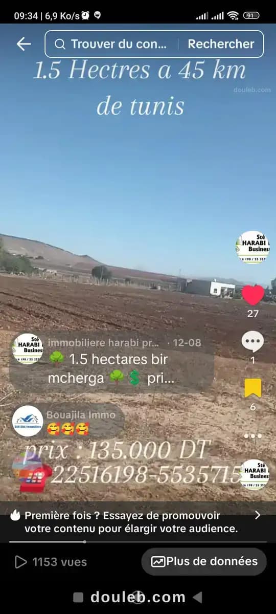 Un hectare et demi avec d'oliviers - Miniature 5