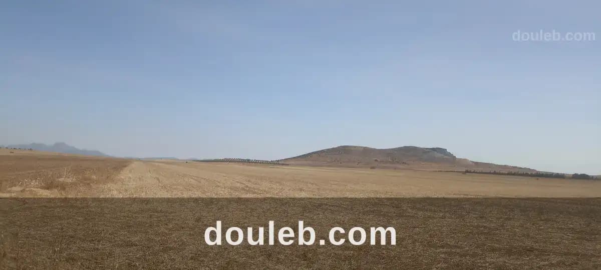 8 hectares nu excellente nappe phréatique - Photo 1