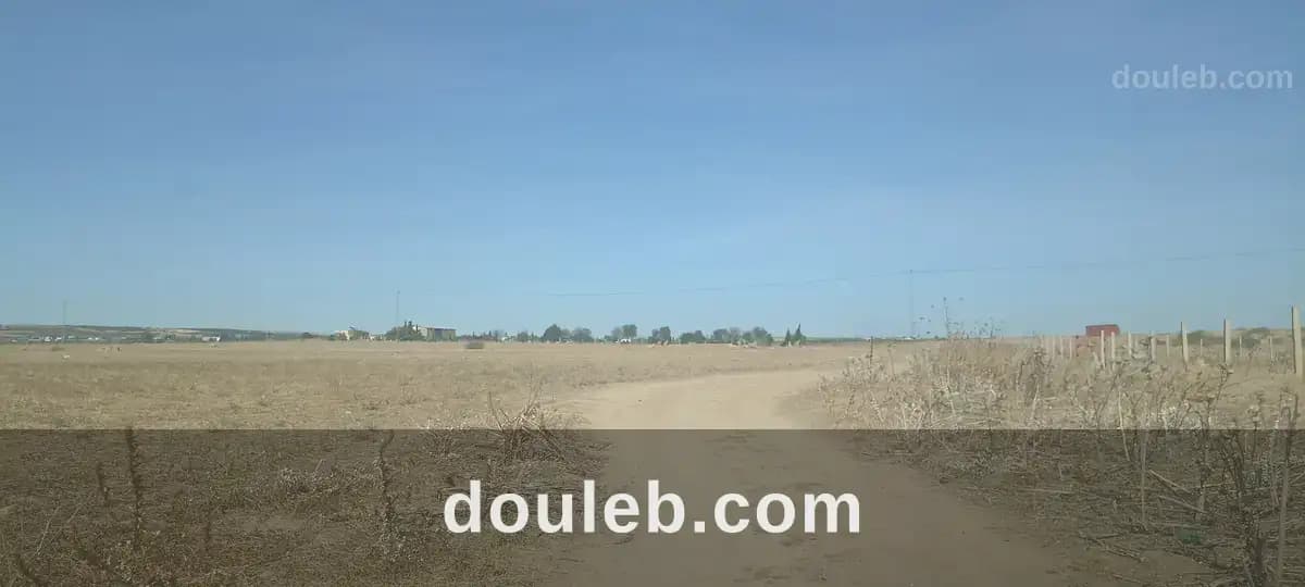 8 hectares nu excellente nappe phréatique - Miniature 2