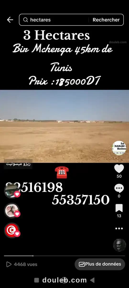 3 hectares à 45 km de tunis - Miniature 3