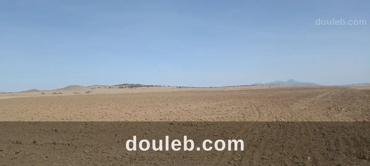 8 hectares nu excellente nappe phréatique - Miniature 3