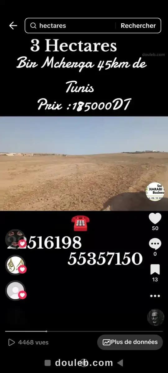 3 hectares à 45 km de tunis - Miniature 4