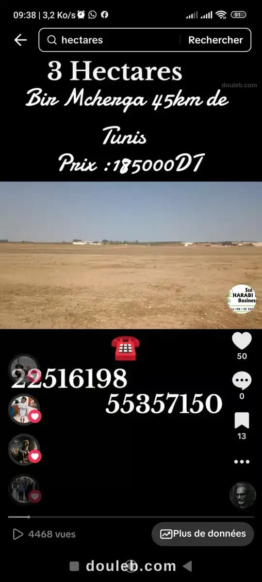 3 hectares à 45 km de tunis - Miniature 5