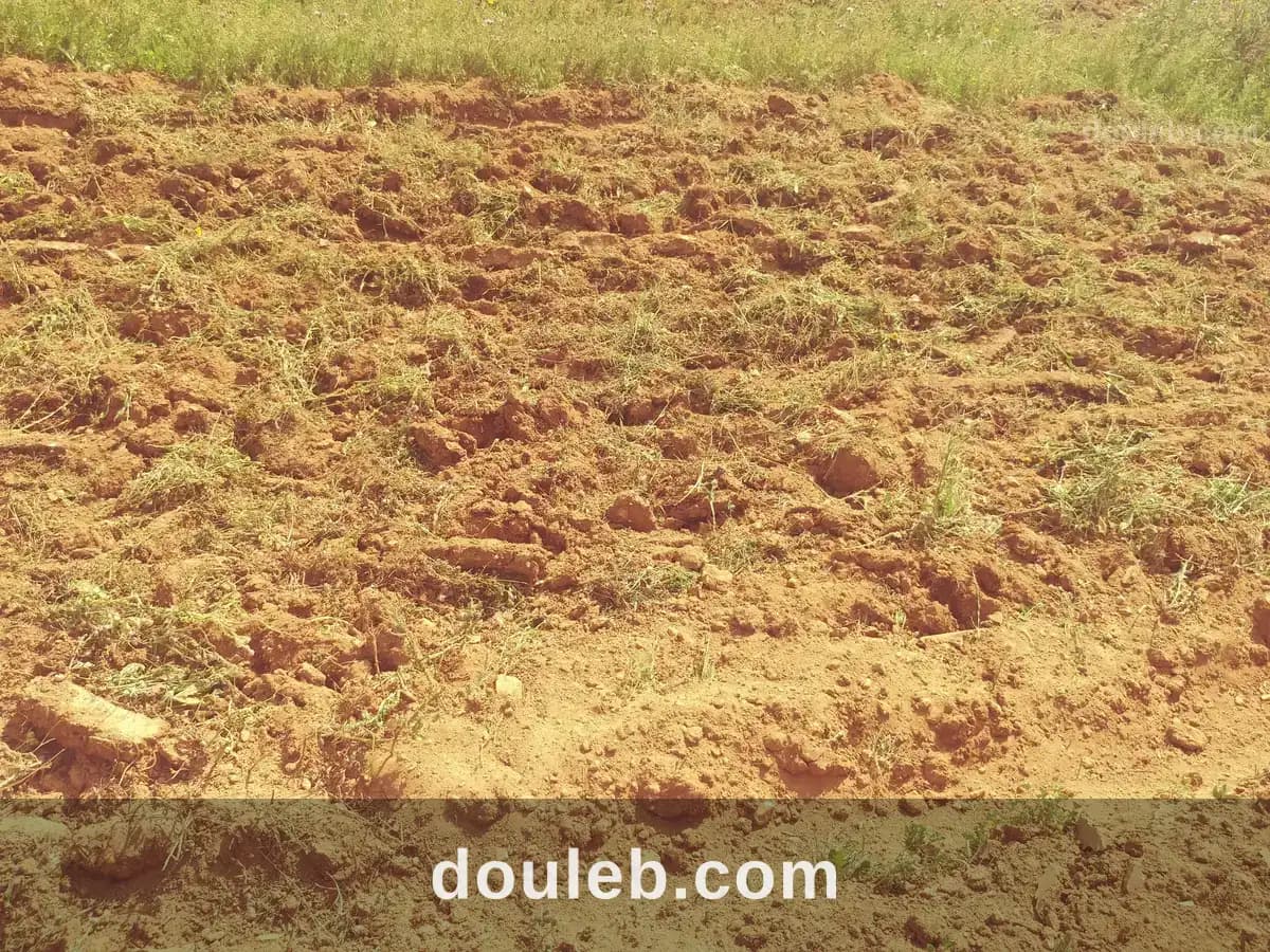 5 hectares terrain agricole nu - Miniature 2