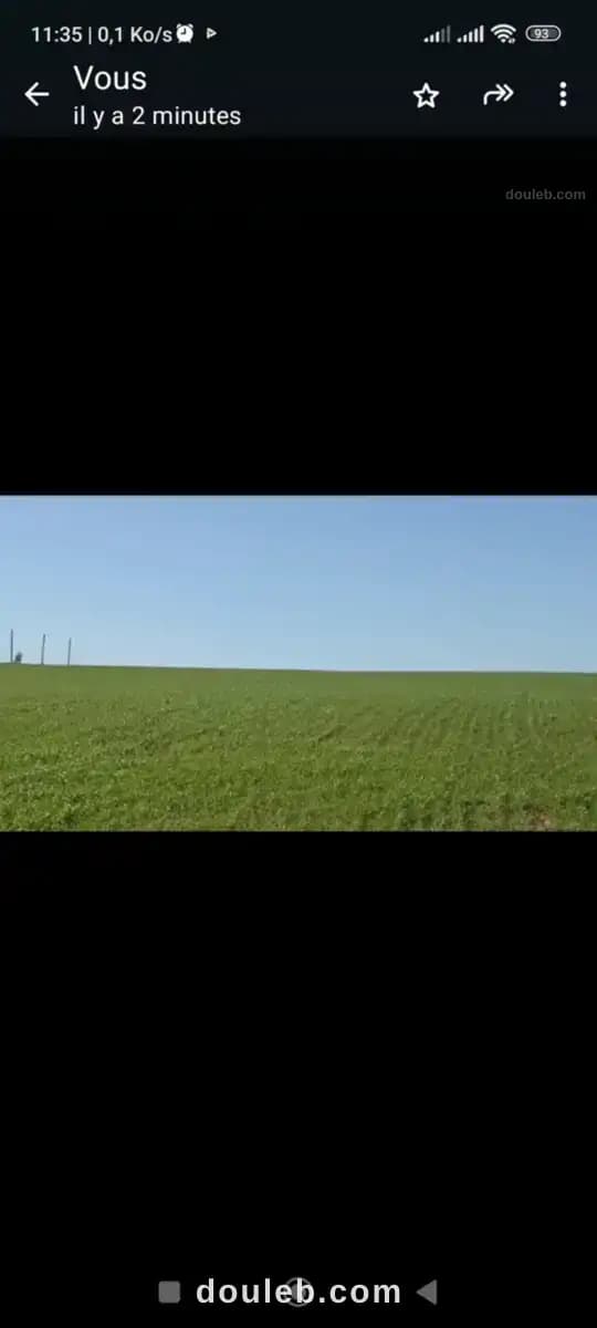 2 hectares pour une petite ferme - Miniature 2