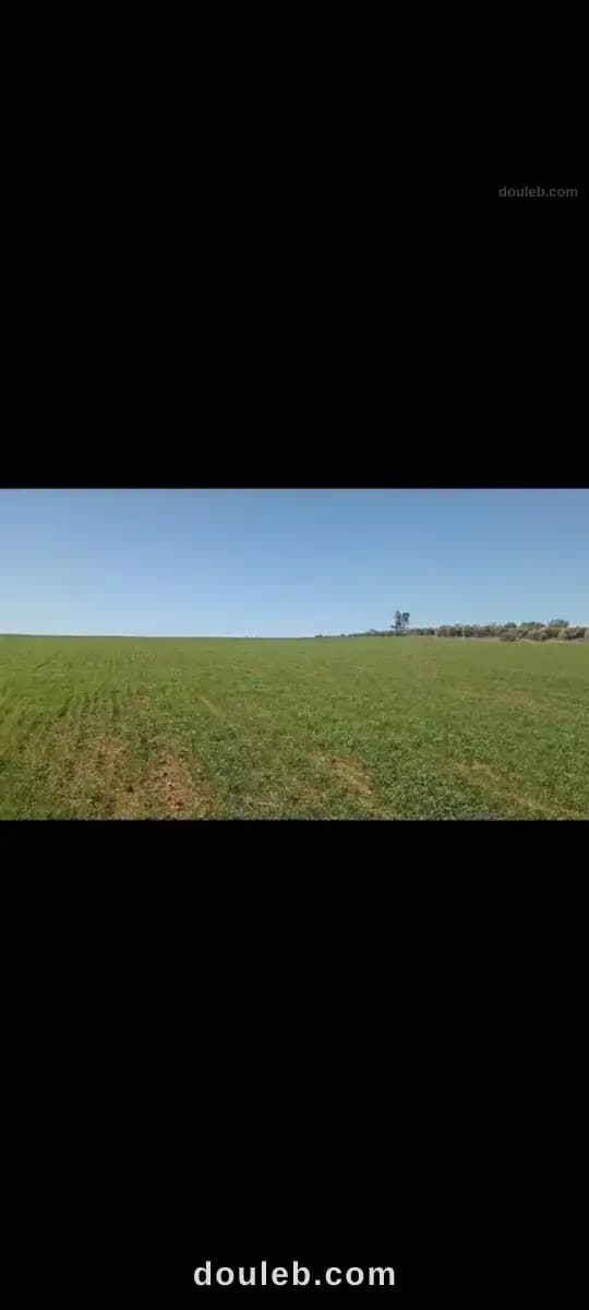 2 hectares pour une petite ferme - Miniature 4