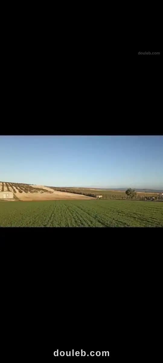 2 hectares pour une petite ferme - Miniature 5