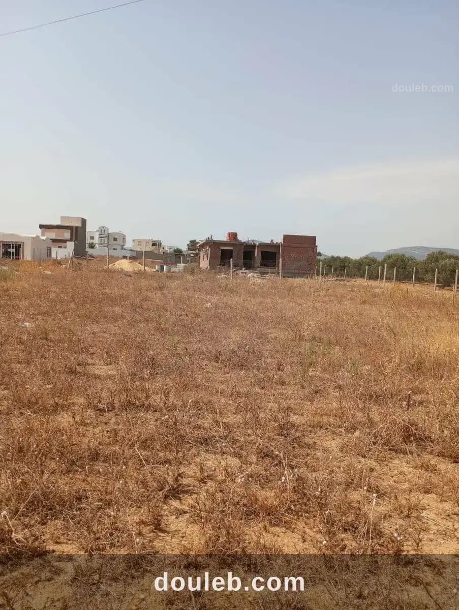 Av terrain 360m à monchar hammamet - Photo 1