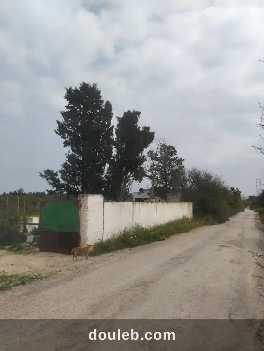 Terrain agricole - Photo 1