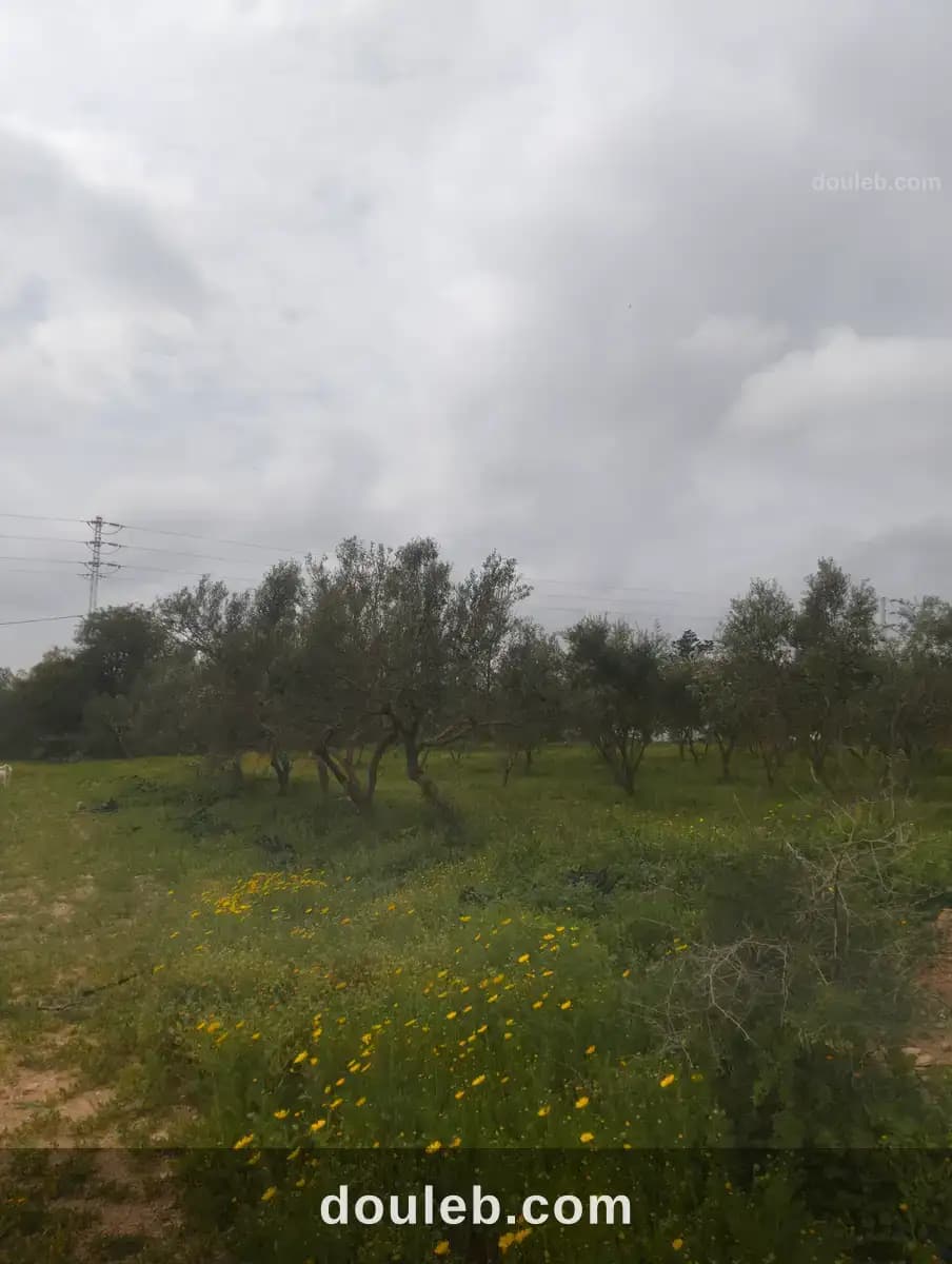 Terrain agricole - Miniature 2