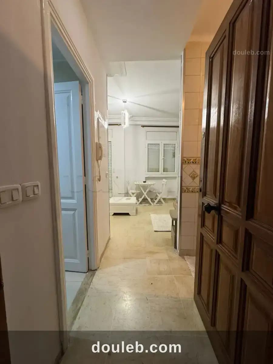 Studio s0 spacieux et luxueusement meublé - Miniature 2